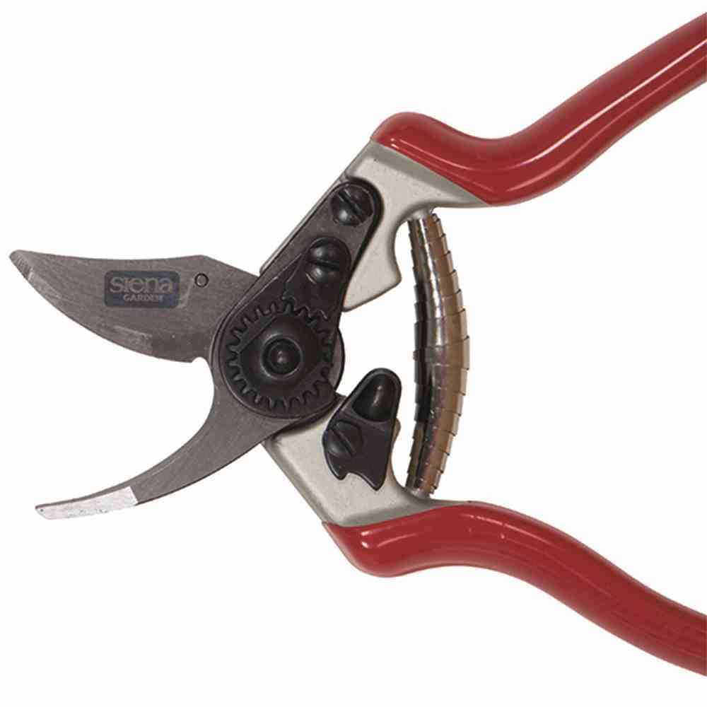 Siena Garden kleine Rosenschere Gartenschere Bypass Schere