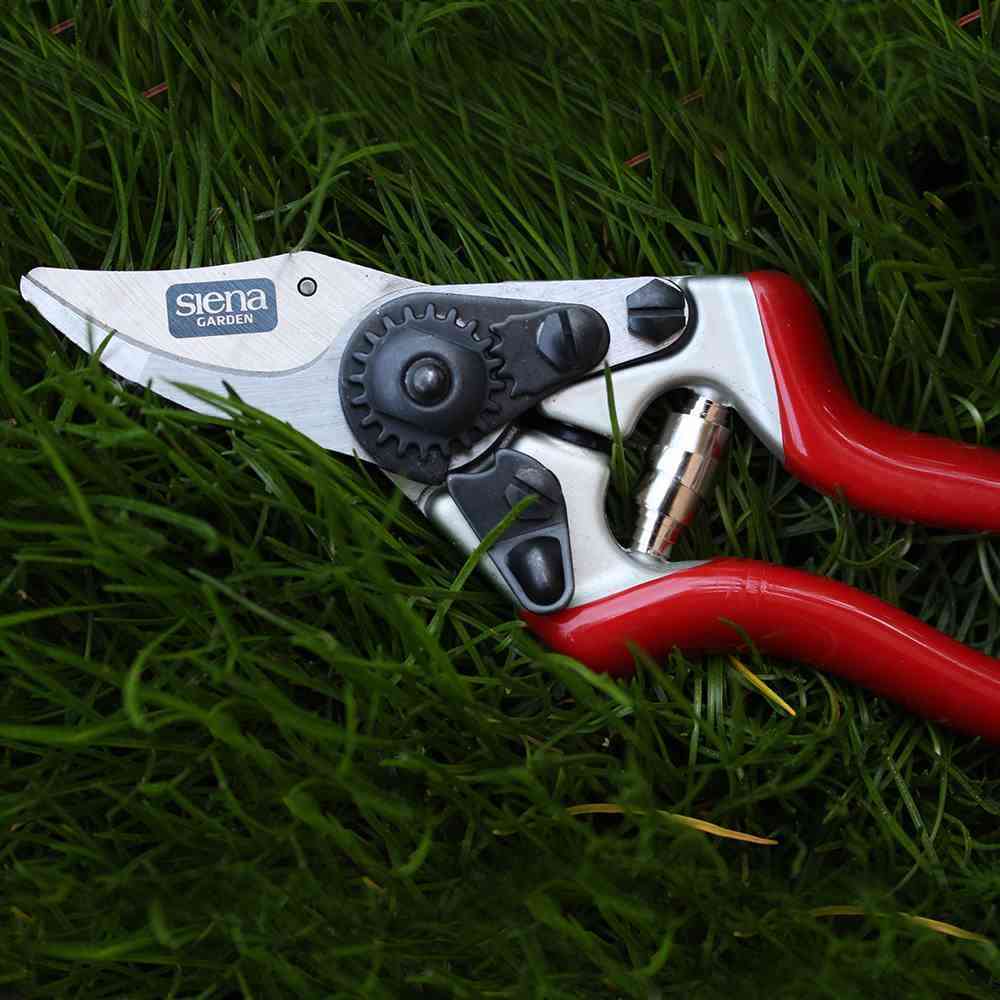 Siena Garden kleine Rosenschere Gartenschere Bypass Schere