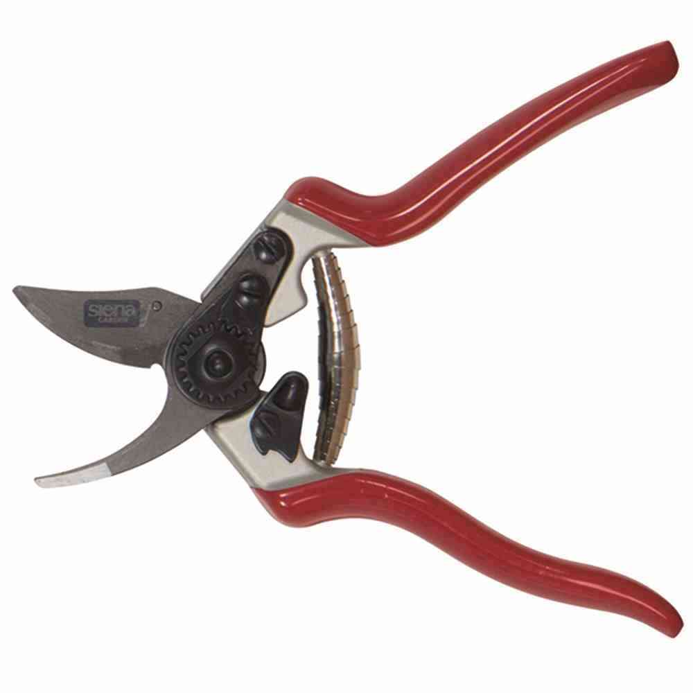 Siena Garden kleine Rosenschere Gartenschere Bypass Schere