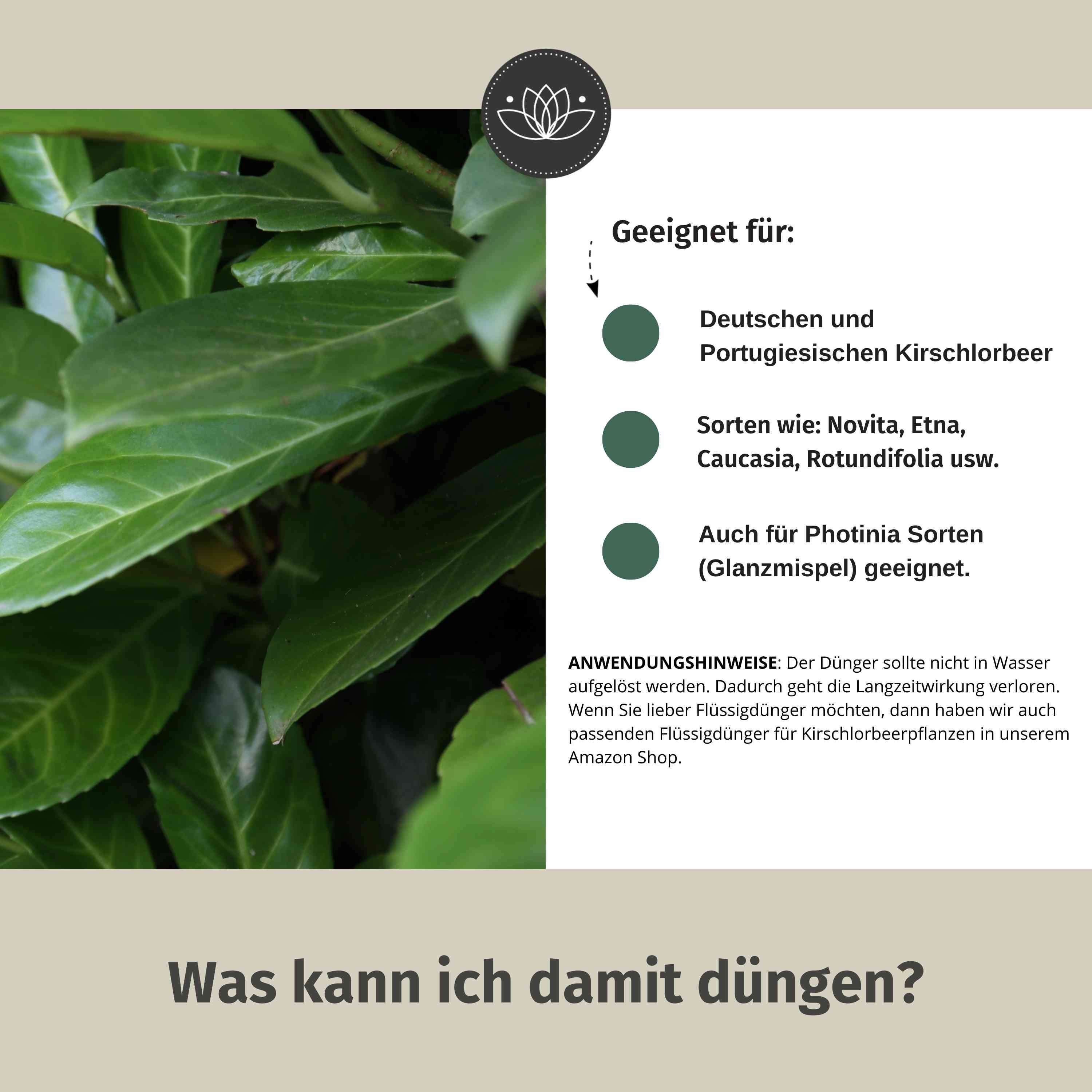 Kirschlorbeer Dünger Bio 900g - Für Alle Kirschlorbeer-Arten