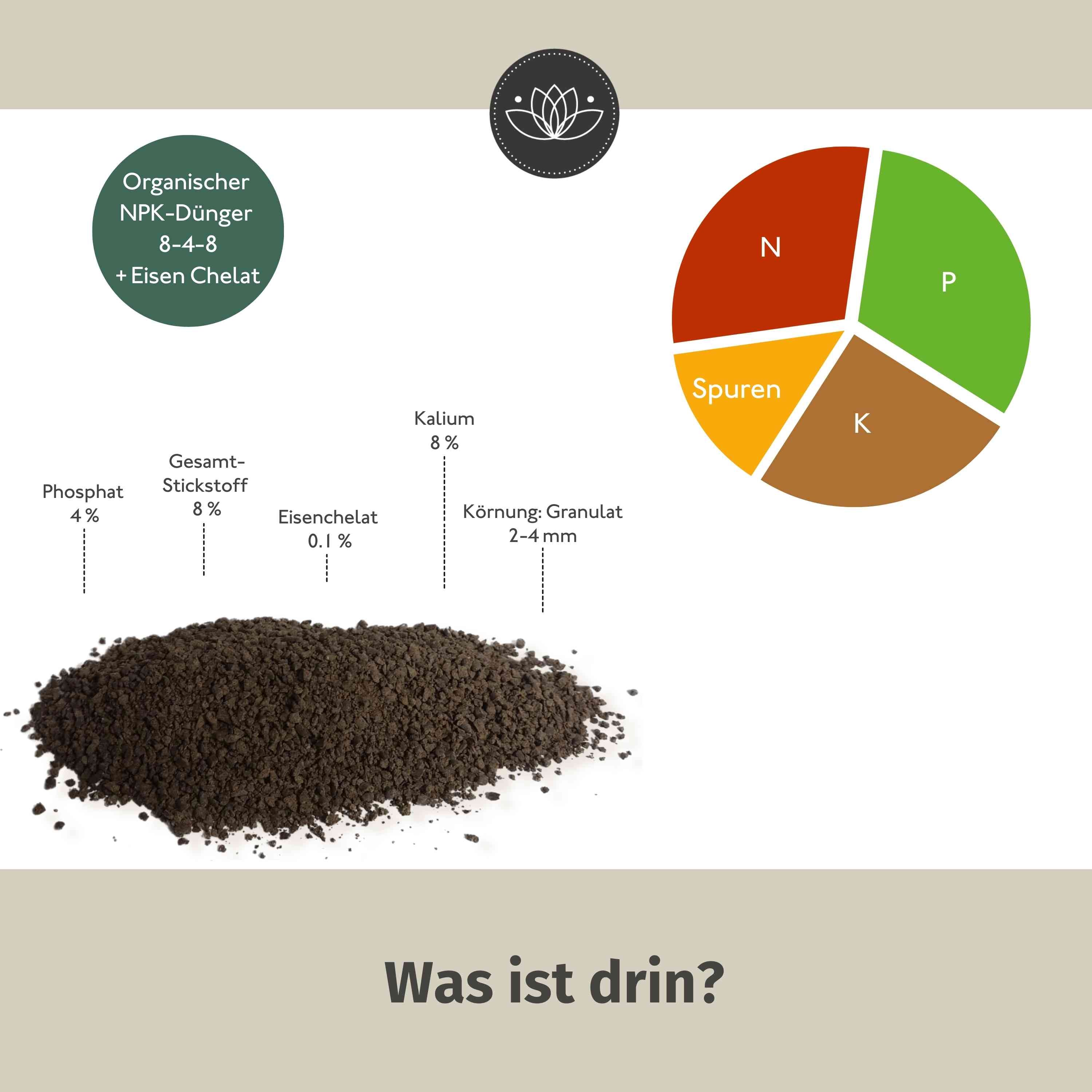 Kirschlorbeer Dünger Bio 900g - Für Alle Kirschlorbeer-Arten