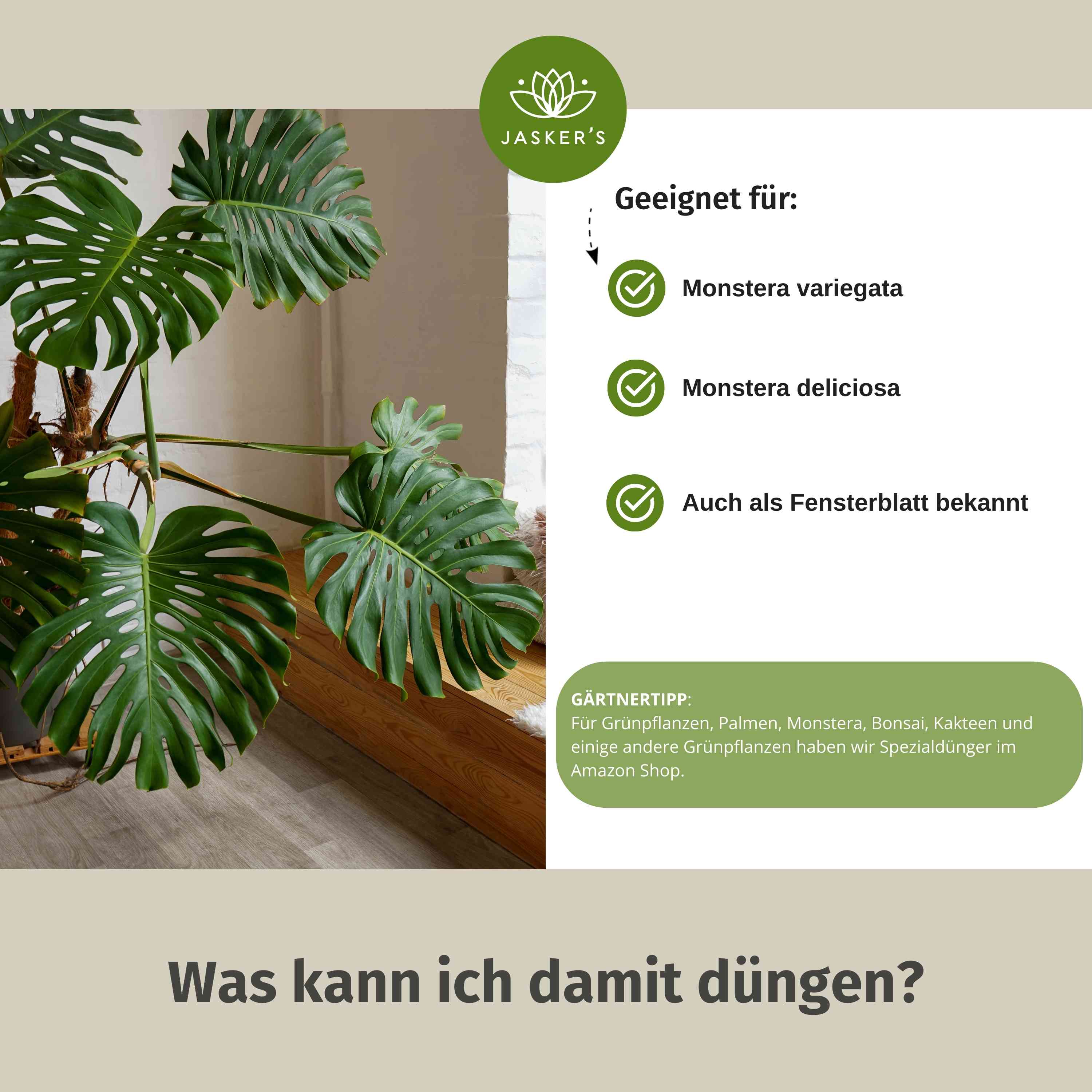 Monstera Dünger 3 Liter