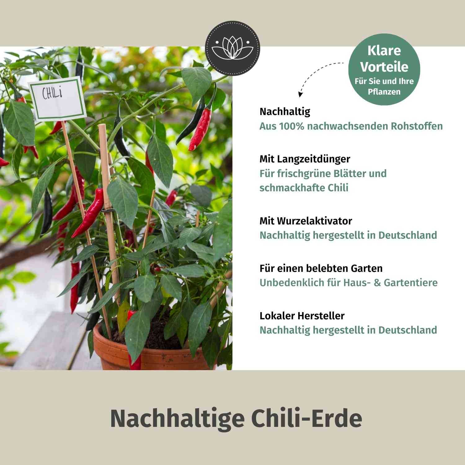 Chilierde Bio 80L - Erde für Chilis