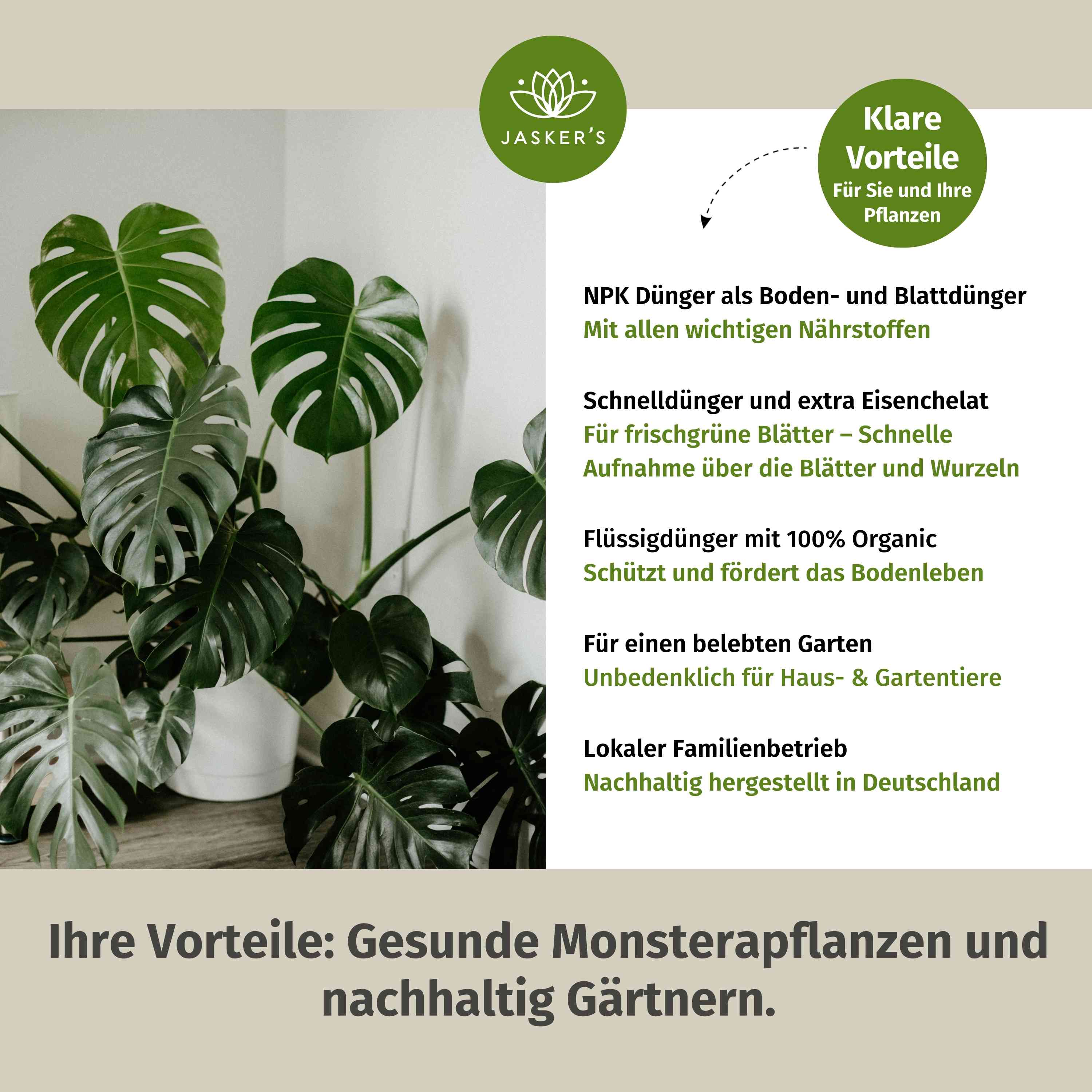 Monstera Dünger 2 Liter