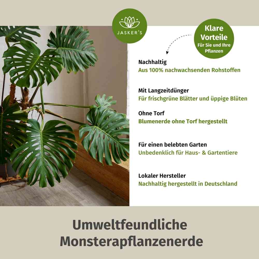 Monstera Erde 5 L + Monstera Flüssigdünger 1 L