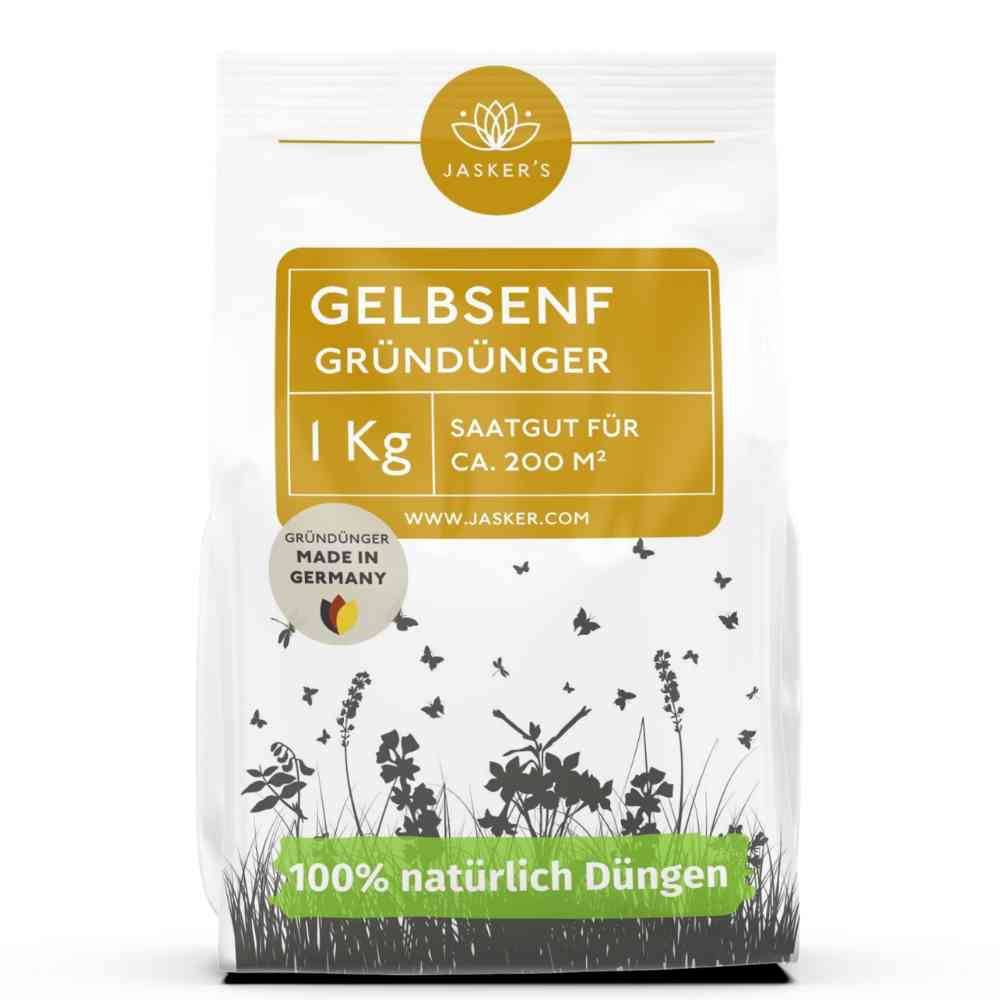 Gelbsenf Gründüngung Samen 1 kg