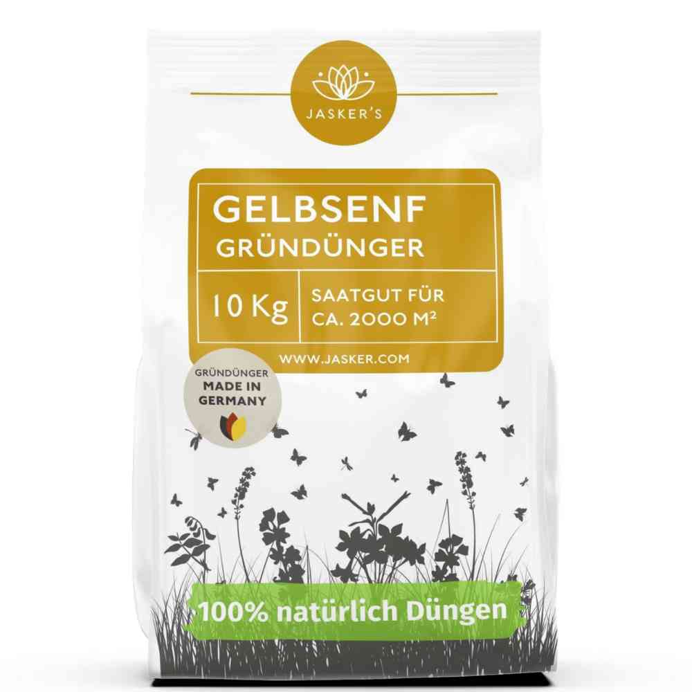 Gelbsenf Gründüngung Samen 10 kg