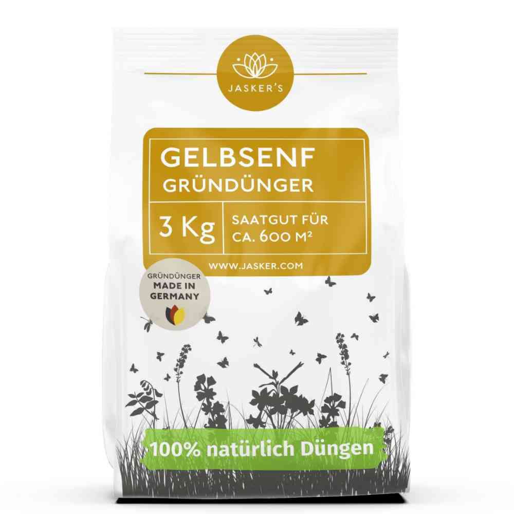 Gelbsenf Gründüngung Samen 3 kg