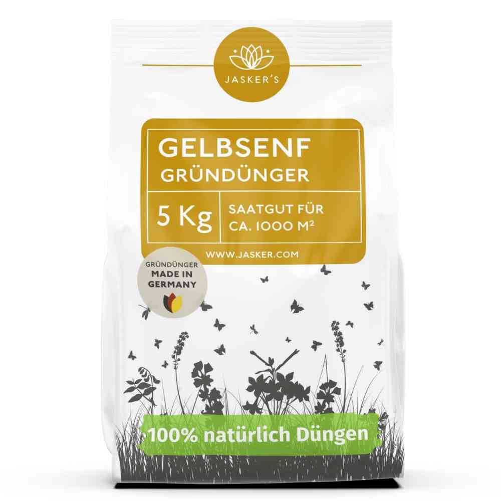 Gelbsenf Gründüngung Samen 5 kg