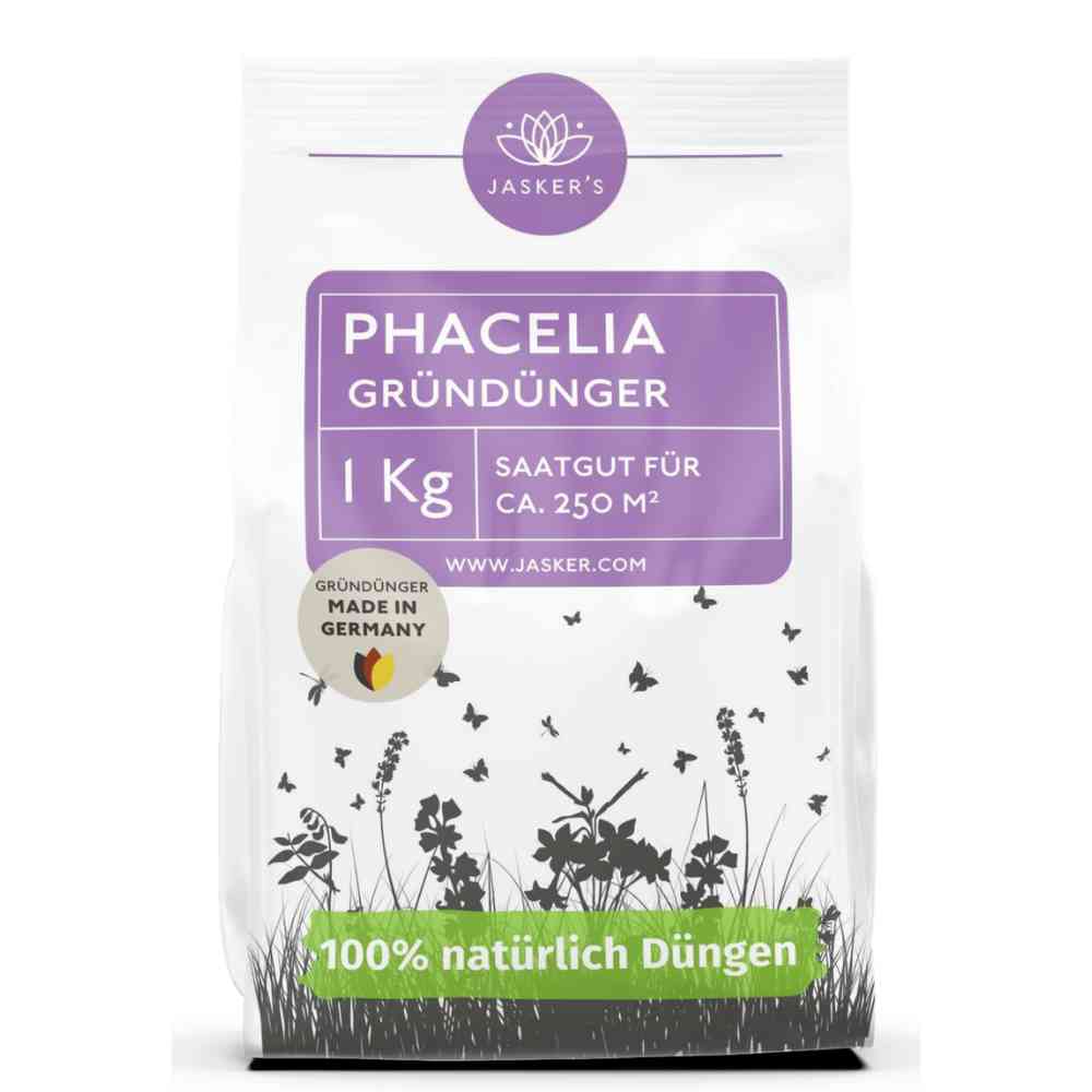 Phacelia Samen 1 kg