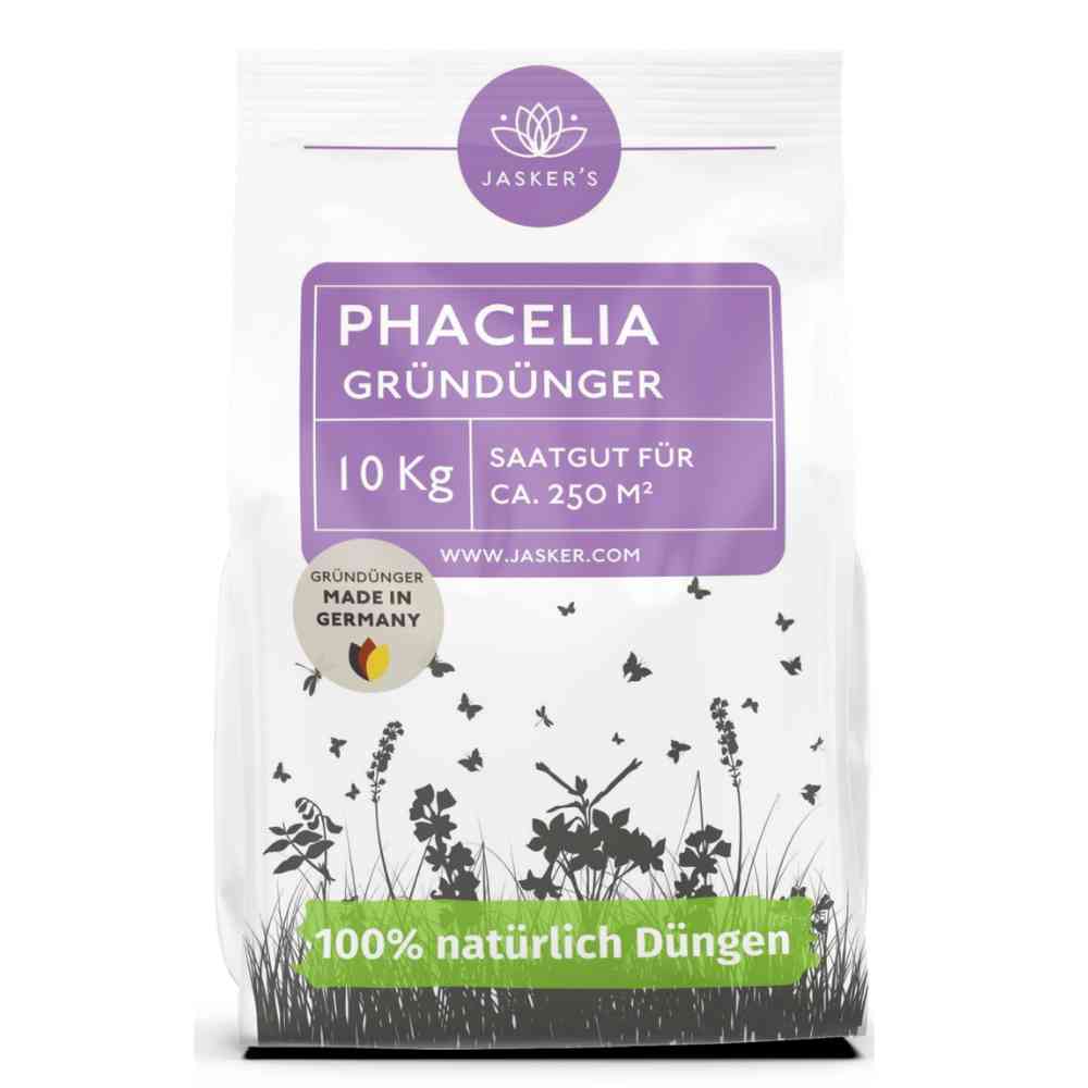 Phacelia Samen 10 kg