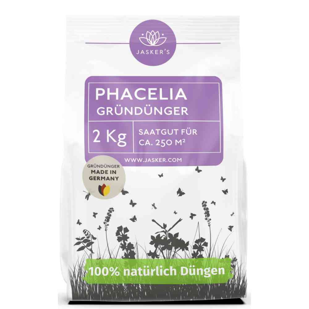 Phacelia Samen 2 kg