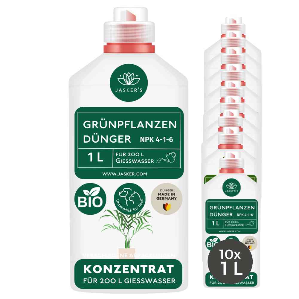 Grünpflanzen Dünger flüssig 10 Liter - Flüssigdünger für Grünpflanzen