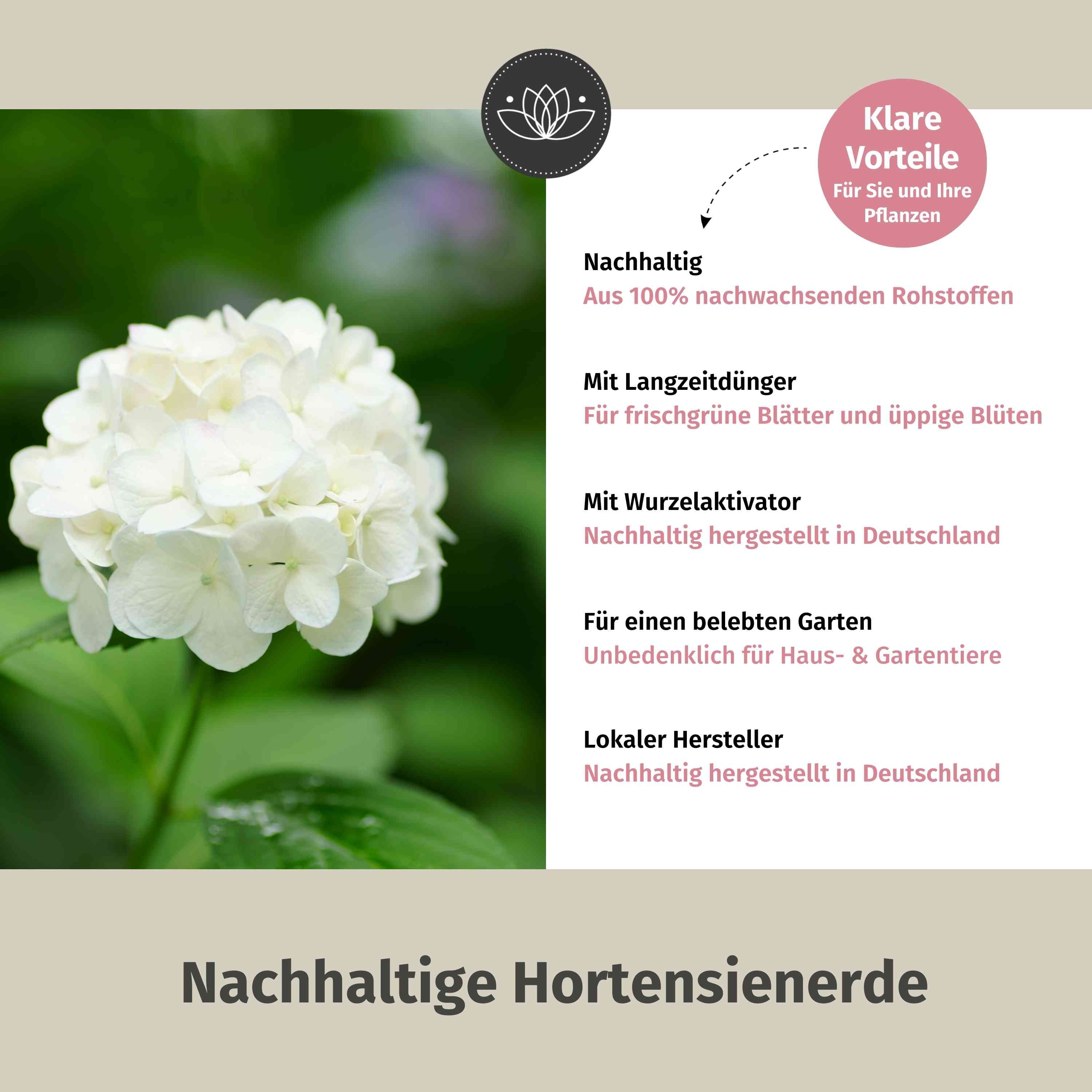 Hortensienerde 80L Bio