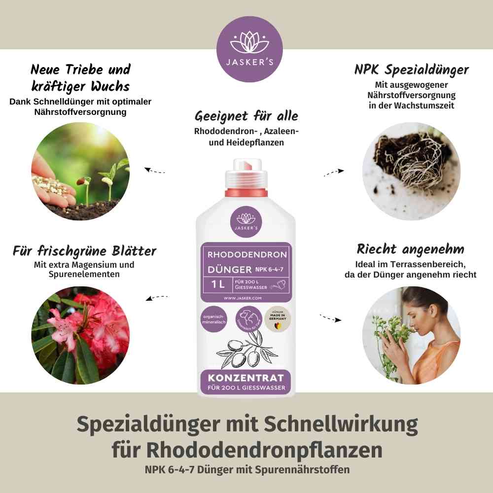 Rhododendron Dünger flüssig 1 L - Flüssigdünger für Rhododendron