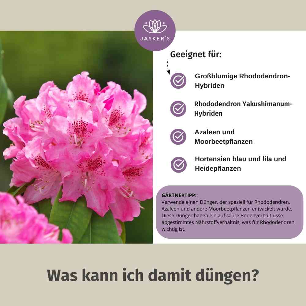 Rhododendron Dünger flüssig 1 L - Flüssigdünger für Rhododendron