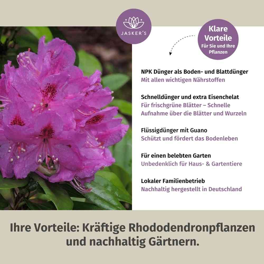 Rhododendron Dünger flüssig 500 ml - Flüssigdünger für Rhododendron