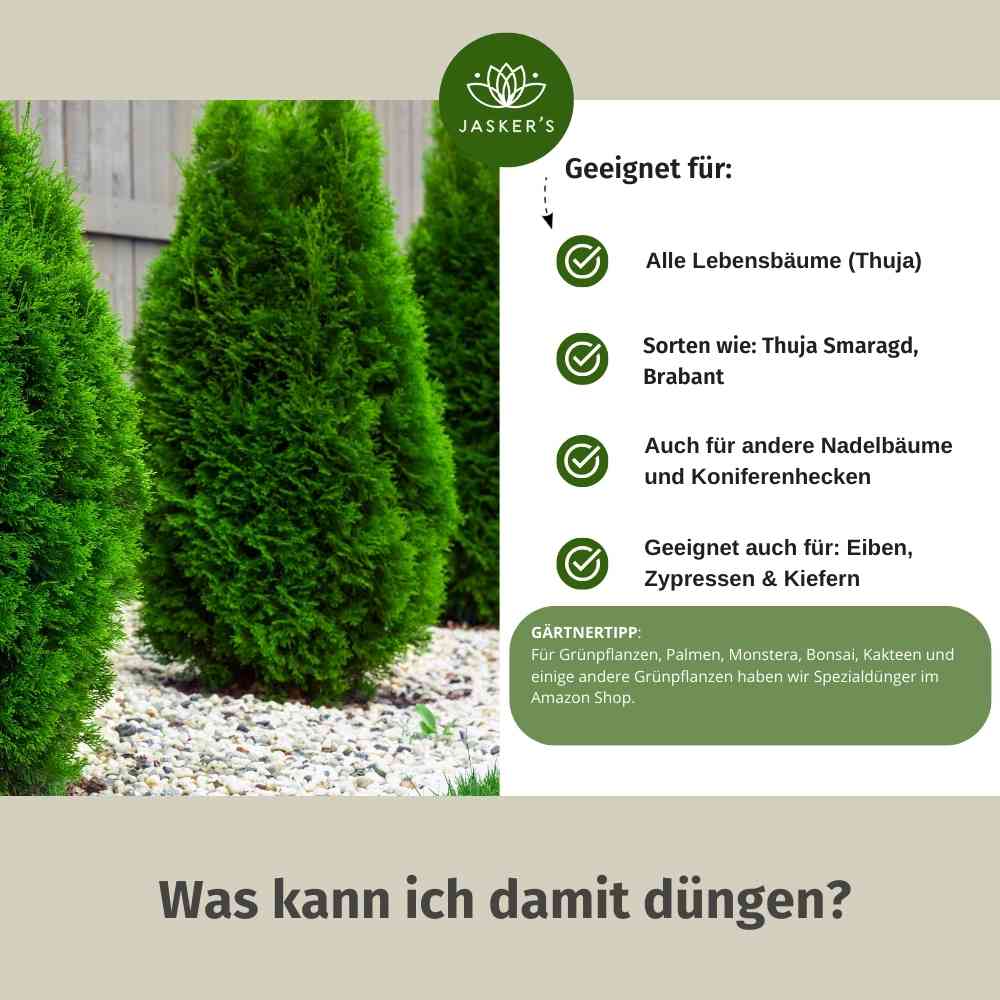 Thuja Dünger flüssig 2 Liter Konzentrat - Flüssigdünger für Koniferen