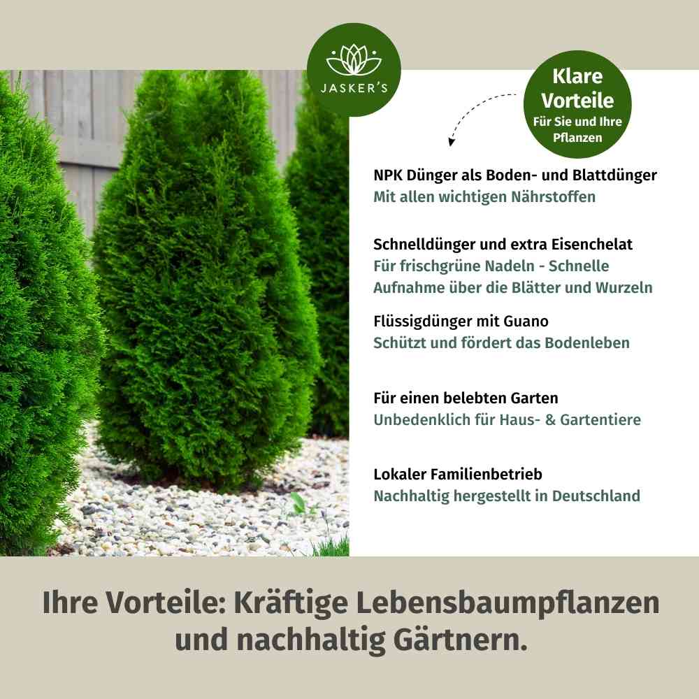 Thuja Dünger flüssig 2 Liter Konzentrat - Flüssigdünger für Koniferen