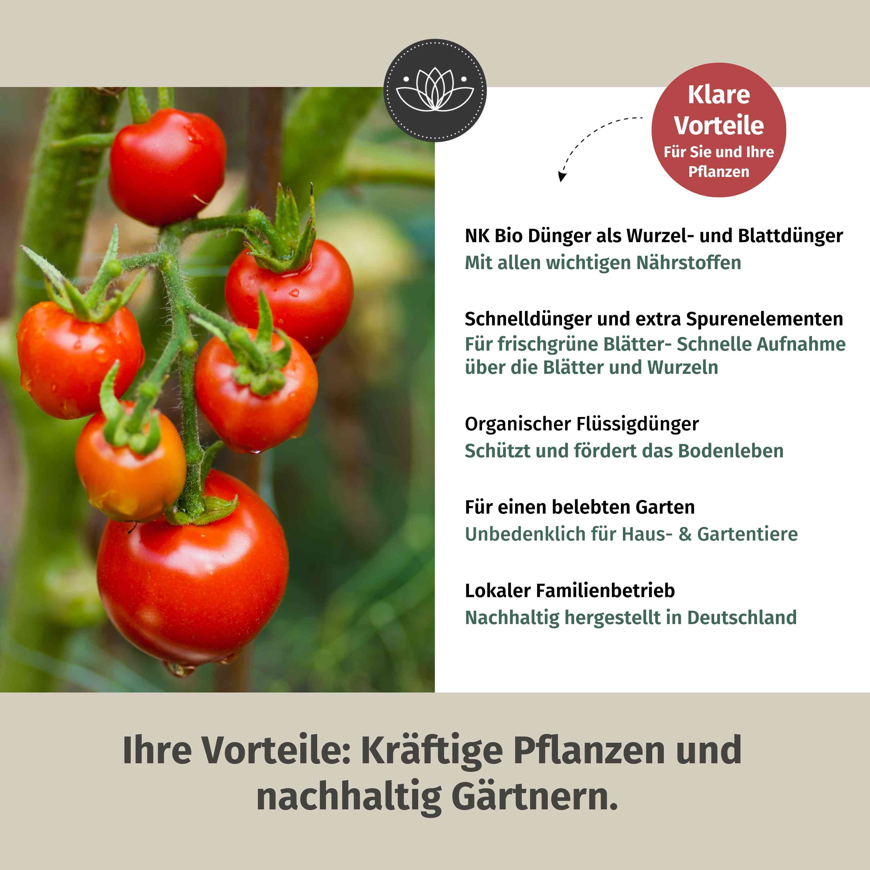 Tomatendünger Bio flüssig 2 Liter (2x1L) - Flüssigdünger für Tomaten