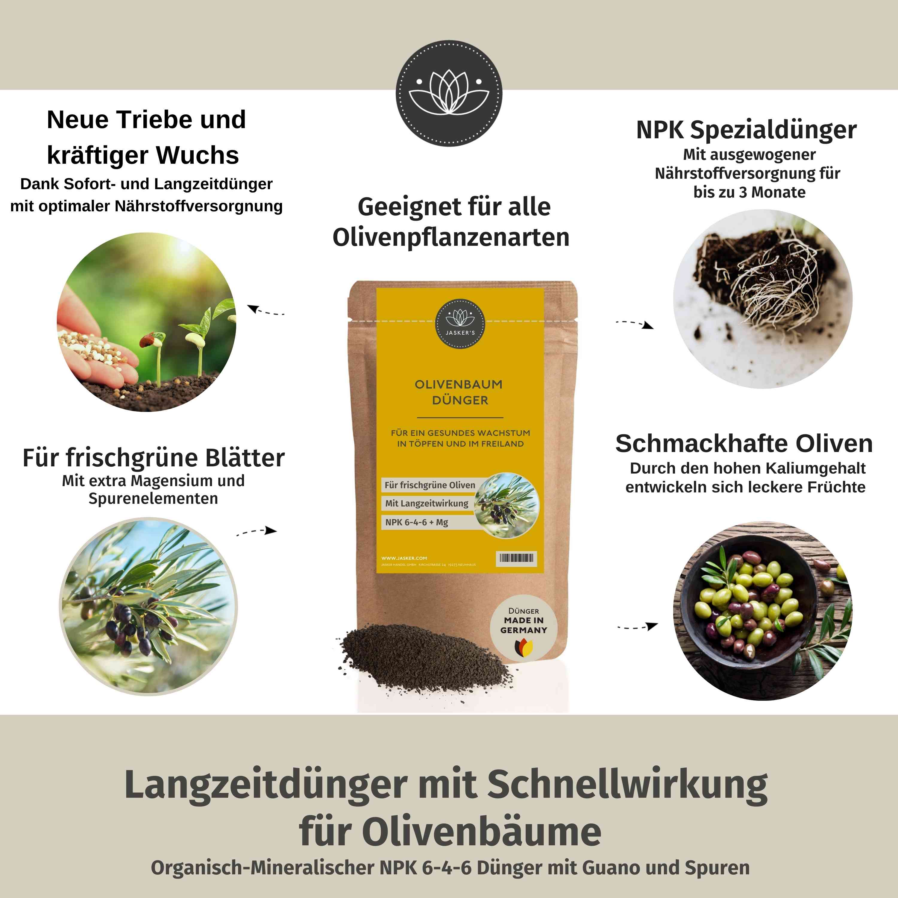 Olivenbaumdünger