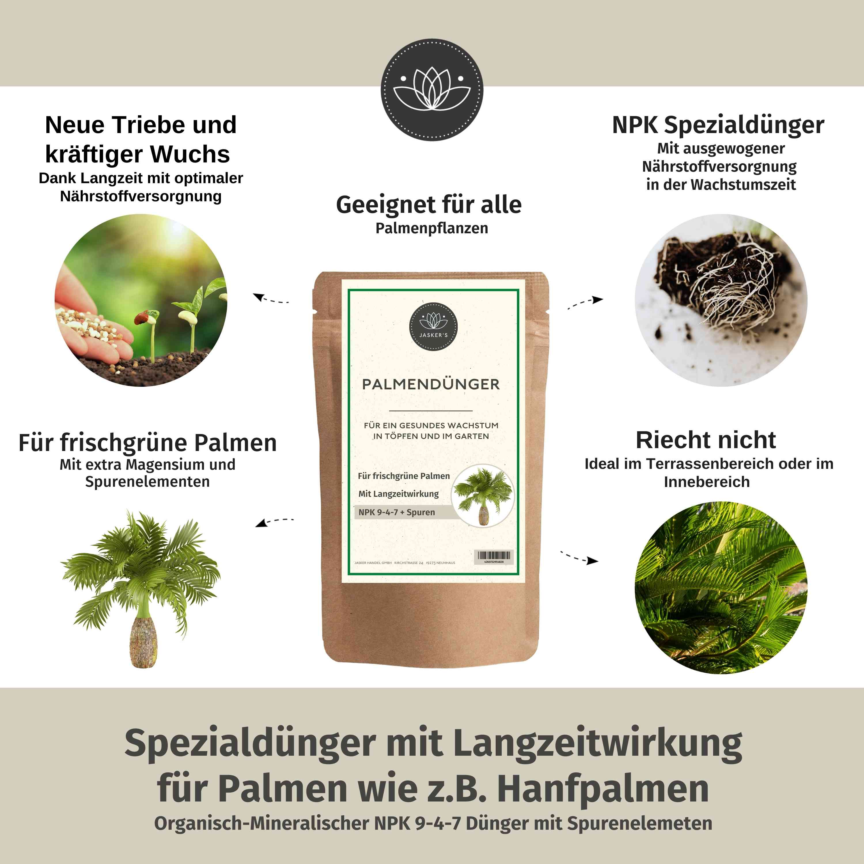 Palmen Dünger Granulat 900g - Für alle Palmen-Arten