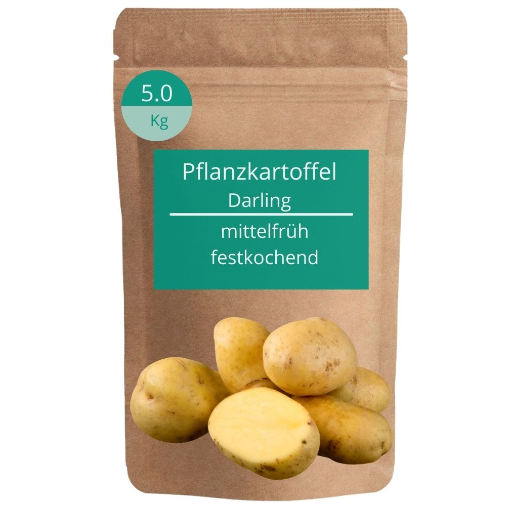 Pflanzkartoffel Darling 5kg