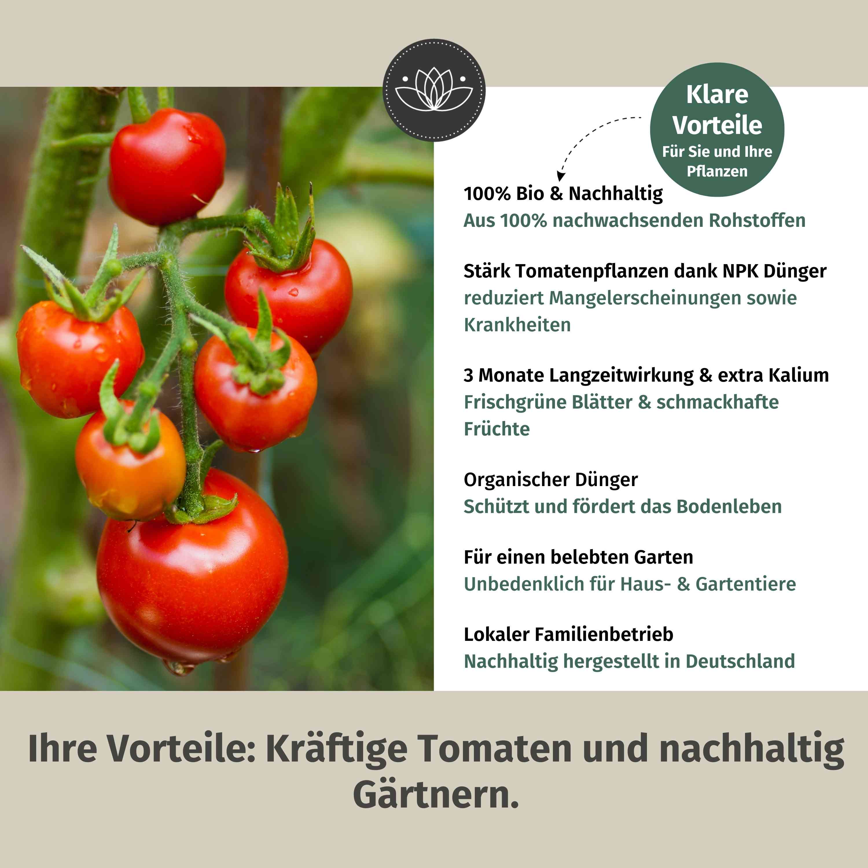 Tomatendünger Bio Langzeit